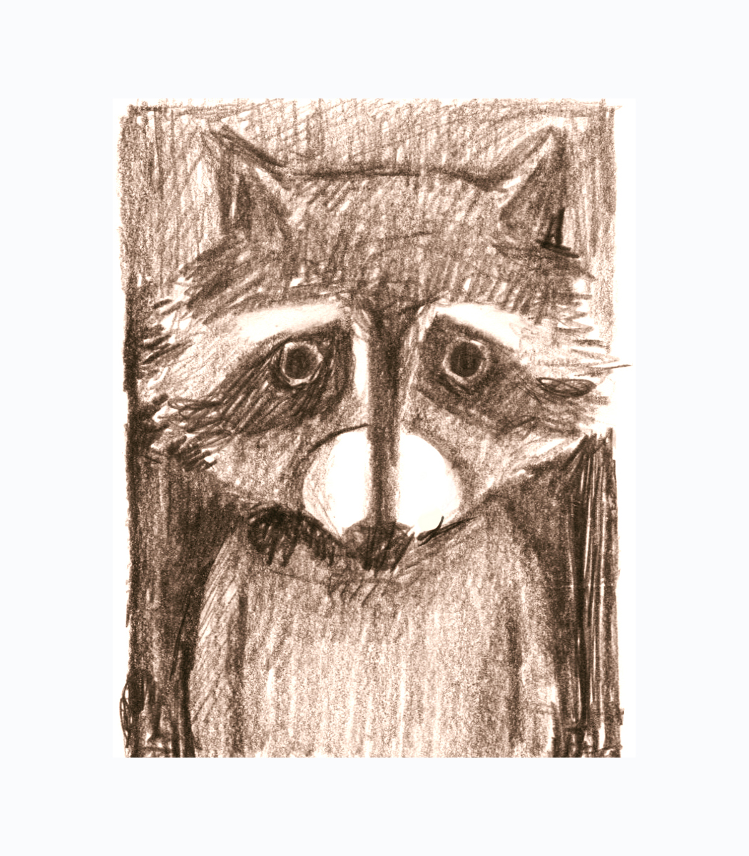 raccoon_portrait.jpg
