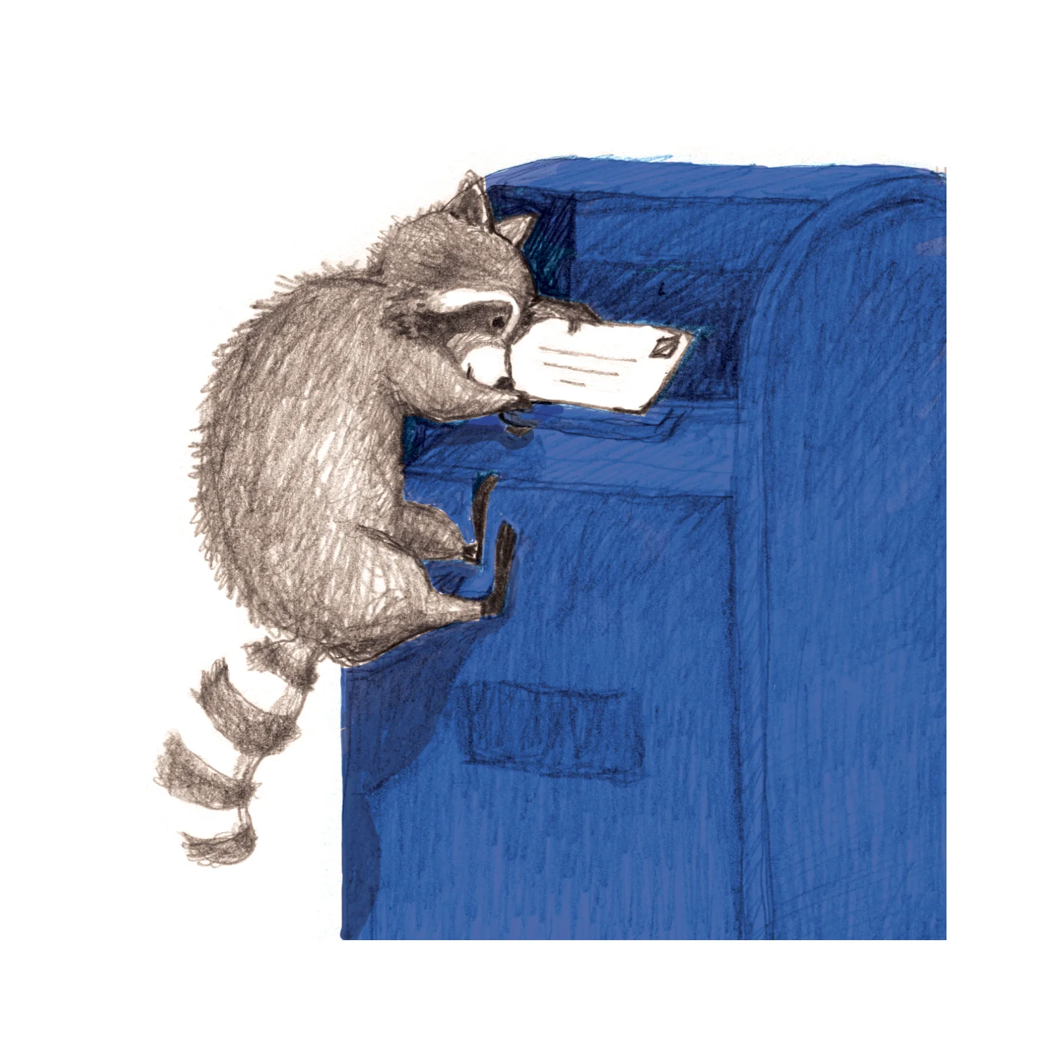 raccoon_mailbox.jpg