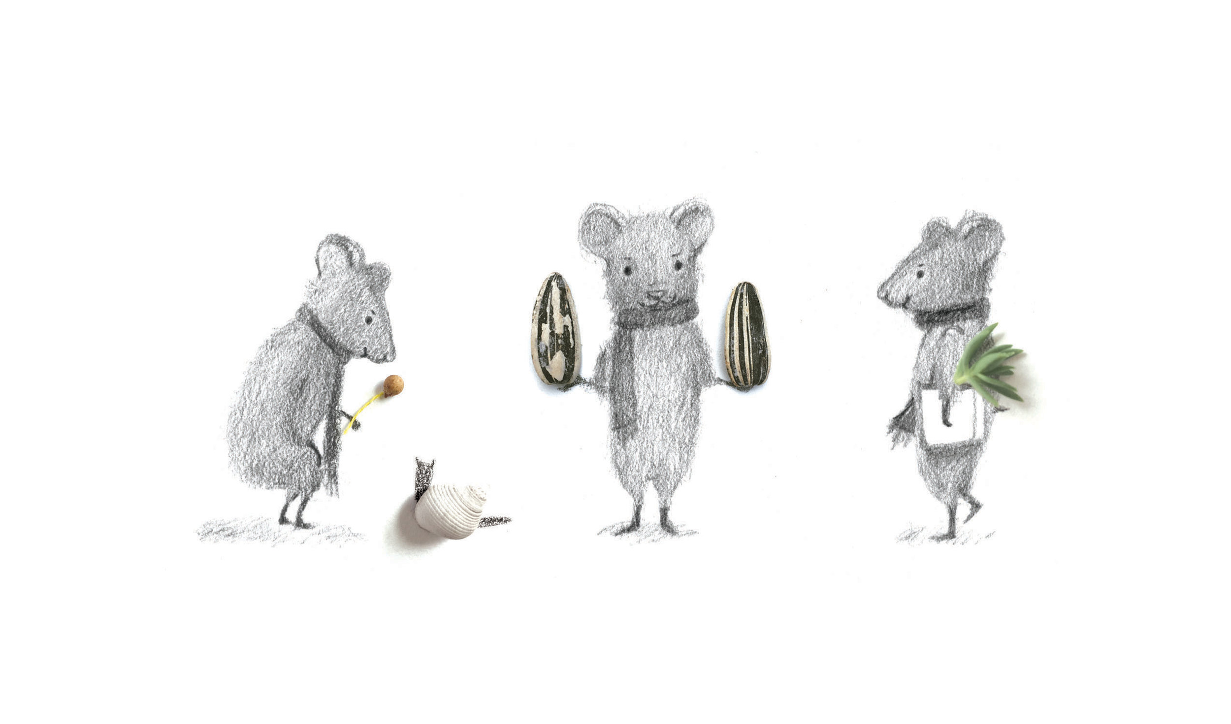 3 mice.jpg