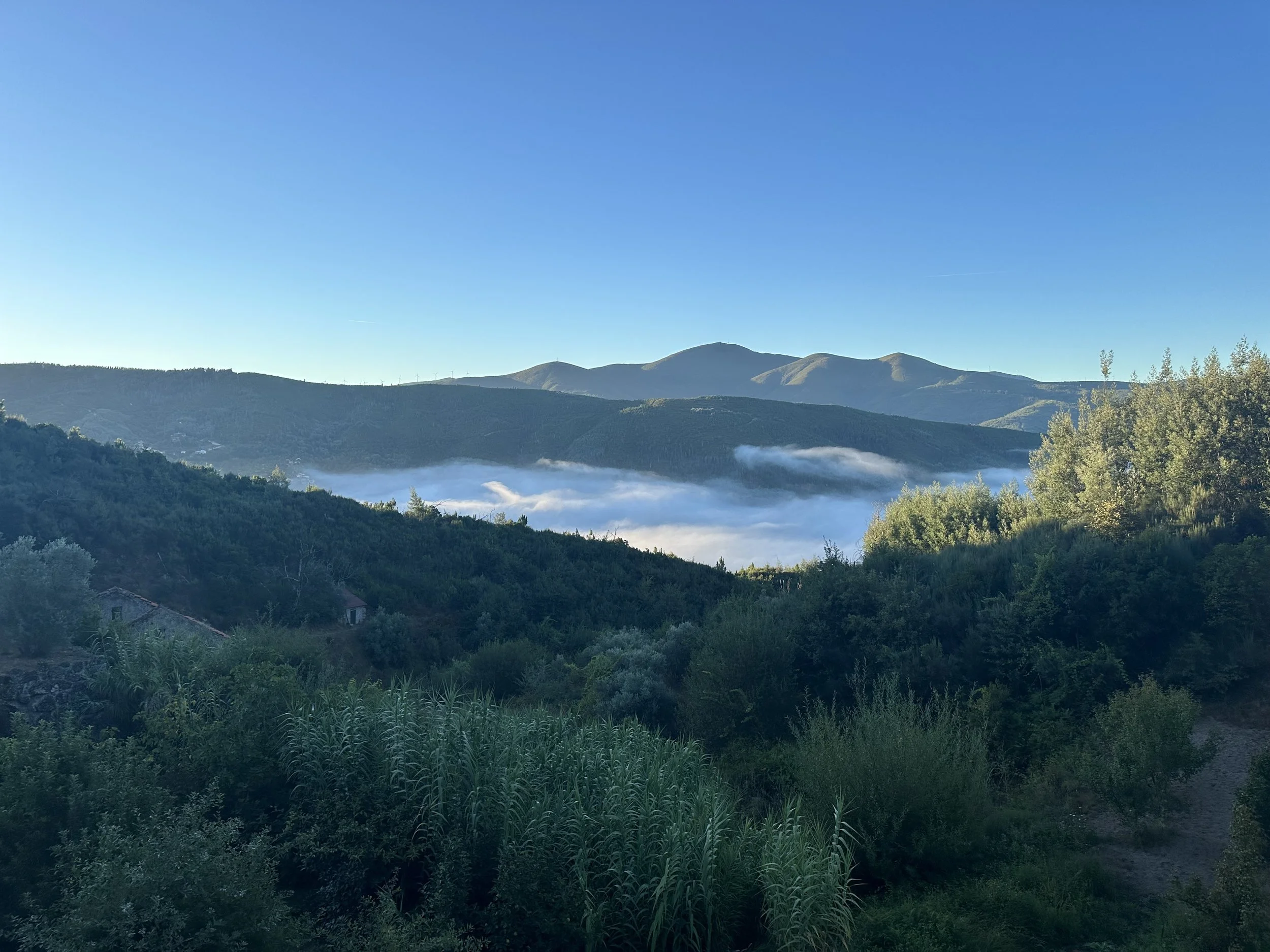 View_from_house.jpg