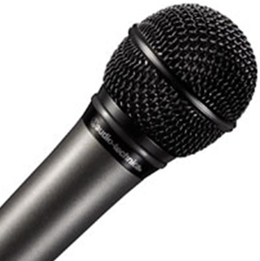 microphone.jpeg