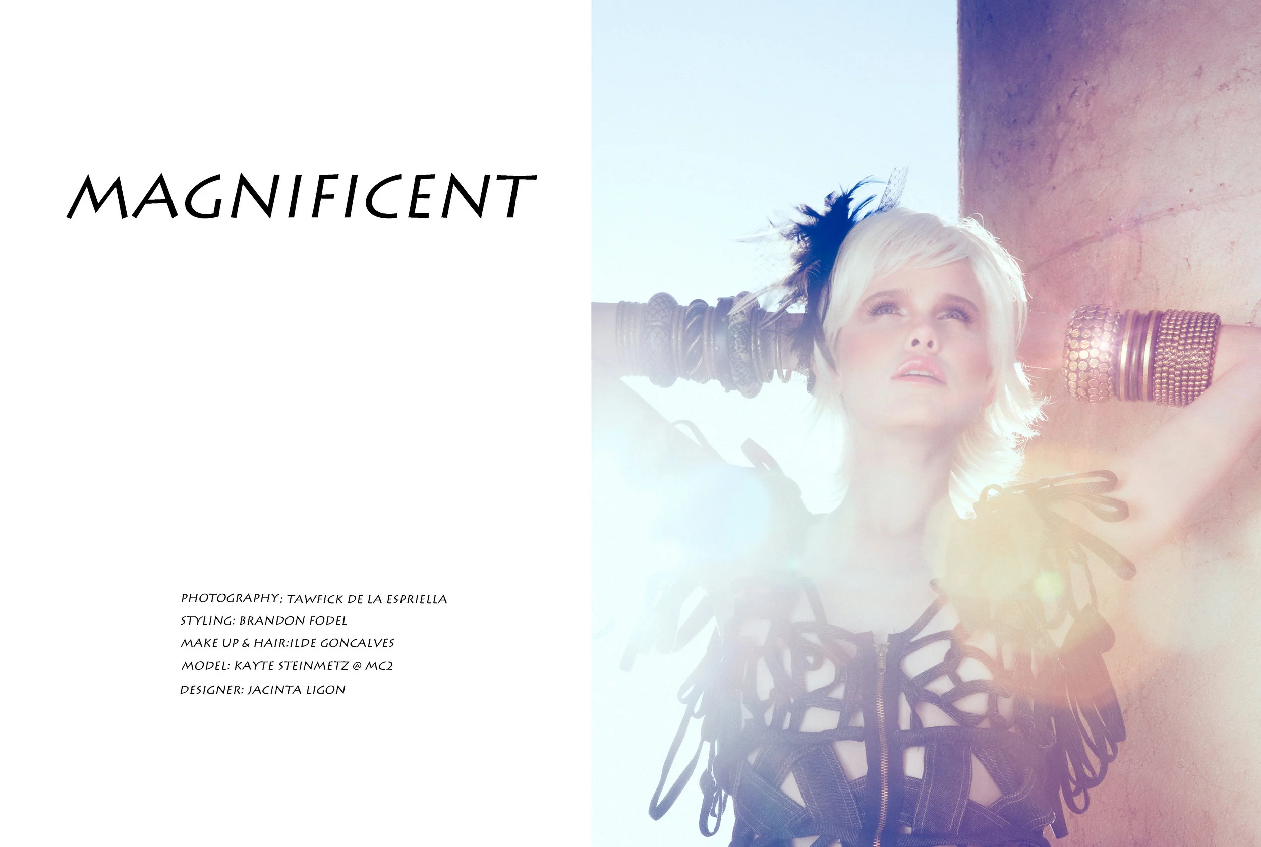 Claudia Magazine