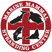 Marine Mammal Stranding Center.png