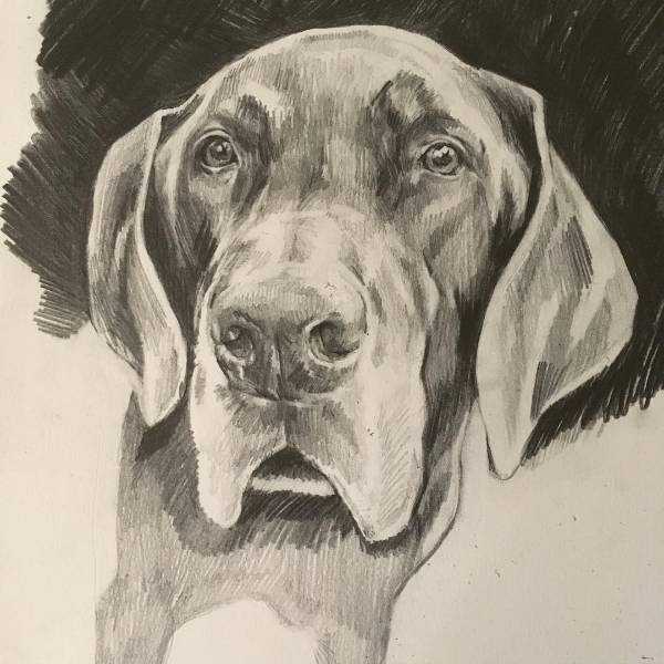 Pencil on Paper