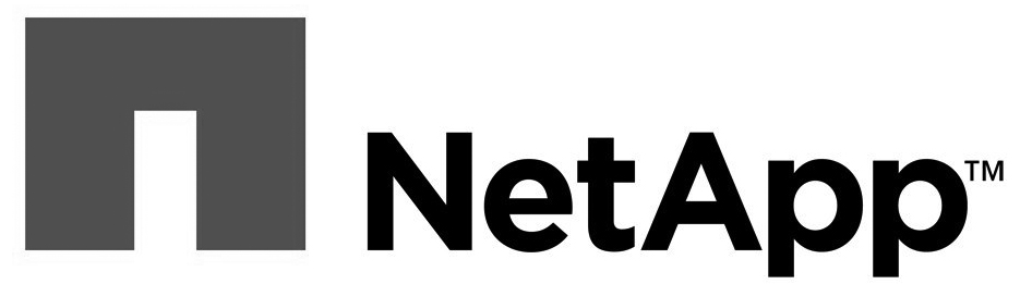 catalyst_consulting_client_netapp.jpg