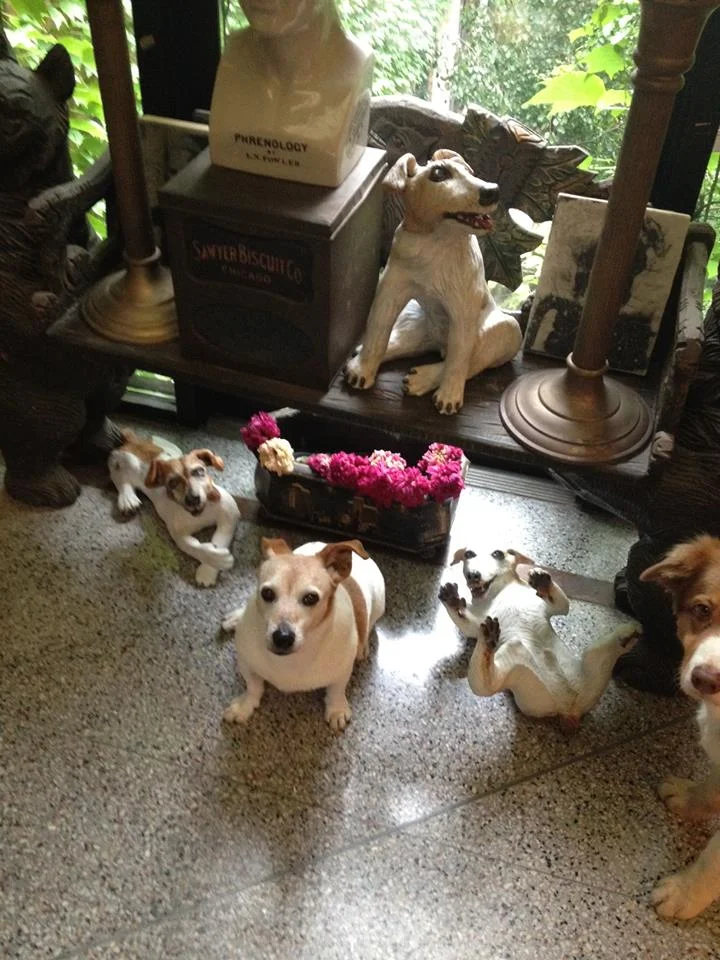 " Oner with Three Oners" and LuLu Photo Bombing, Highfire Red Clay