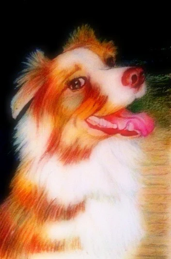 " Lu Lu ", Pastel Drawing