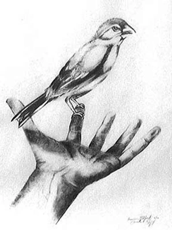 " Robbin ", Graphite