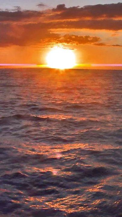 270387_2091712245181_579261_n.jpg