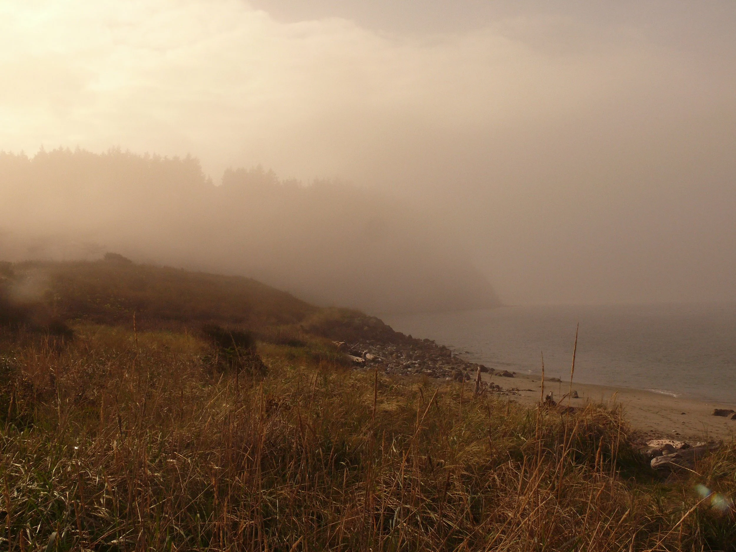 L1150695.jpg