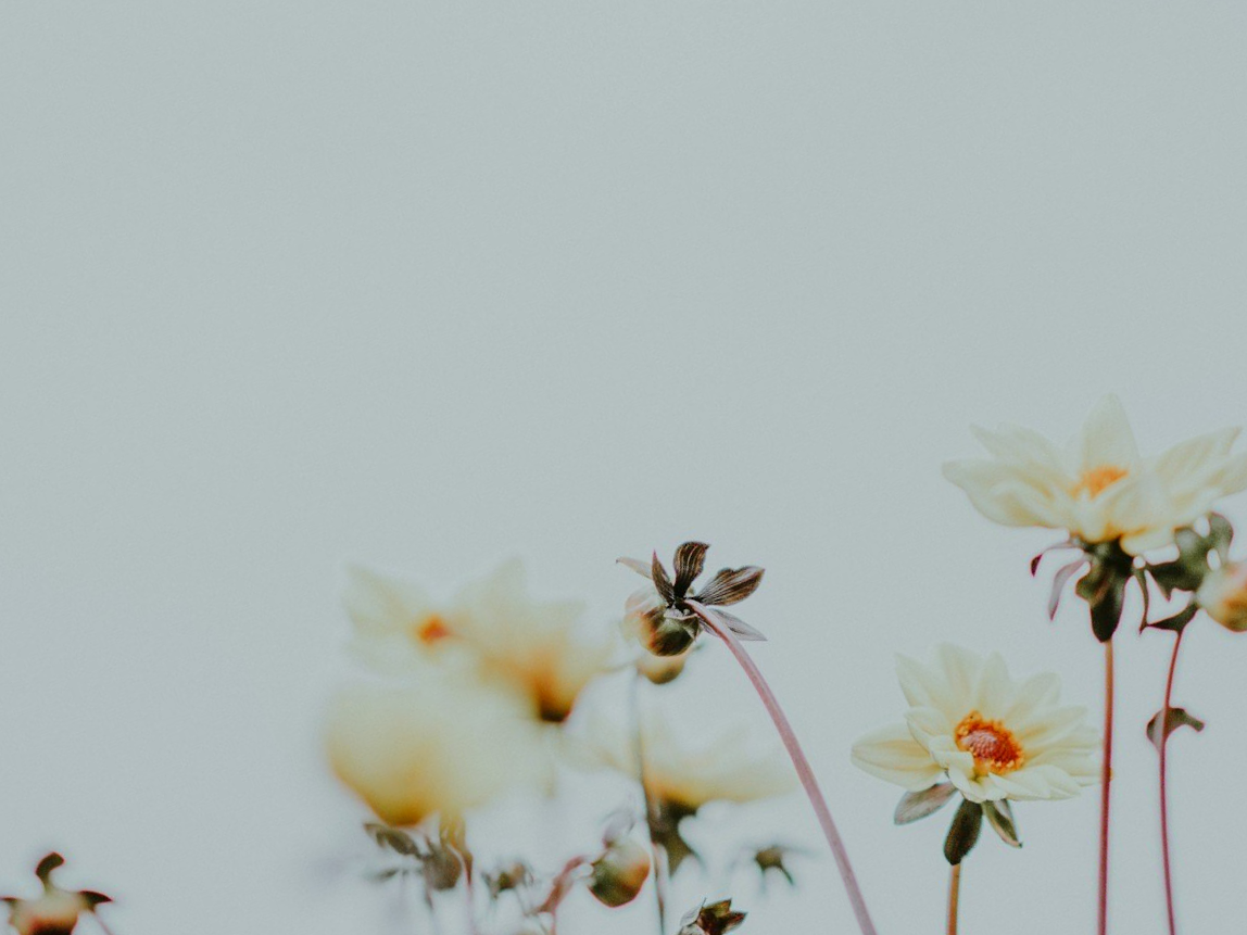 unsplash-image-4CQ3sEkV-TE.png