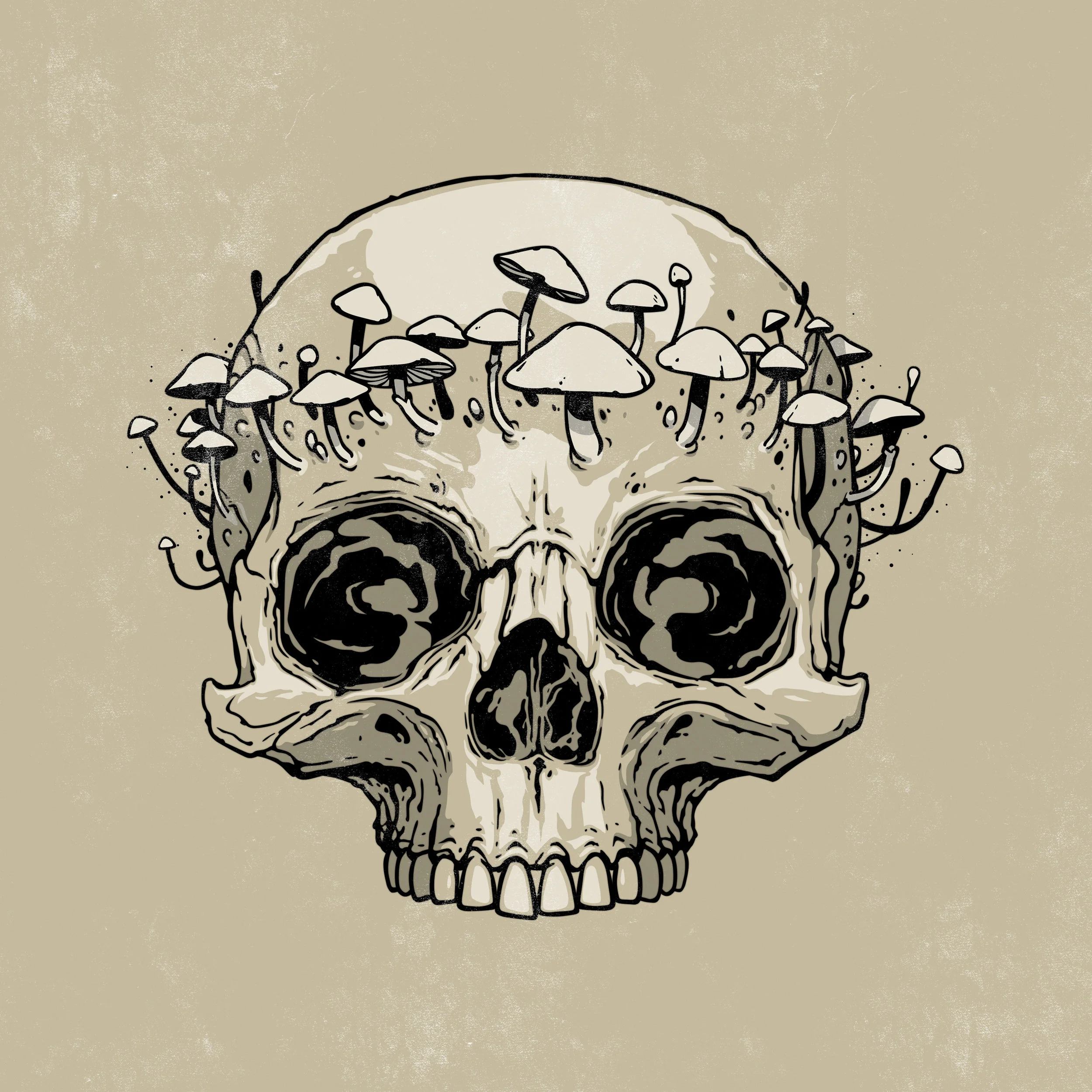 skull.jpg