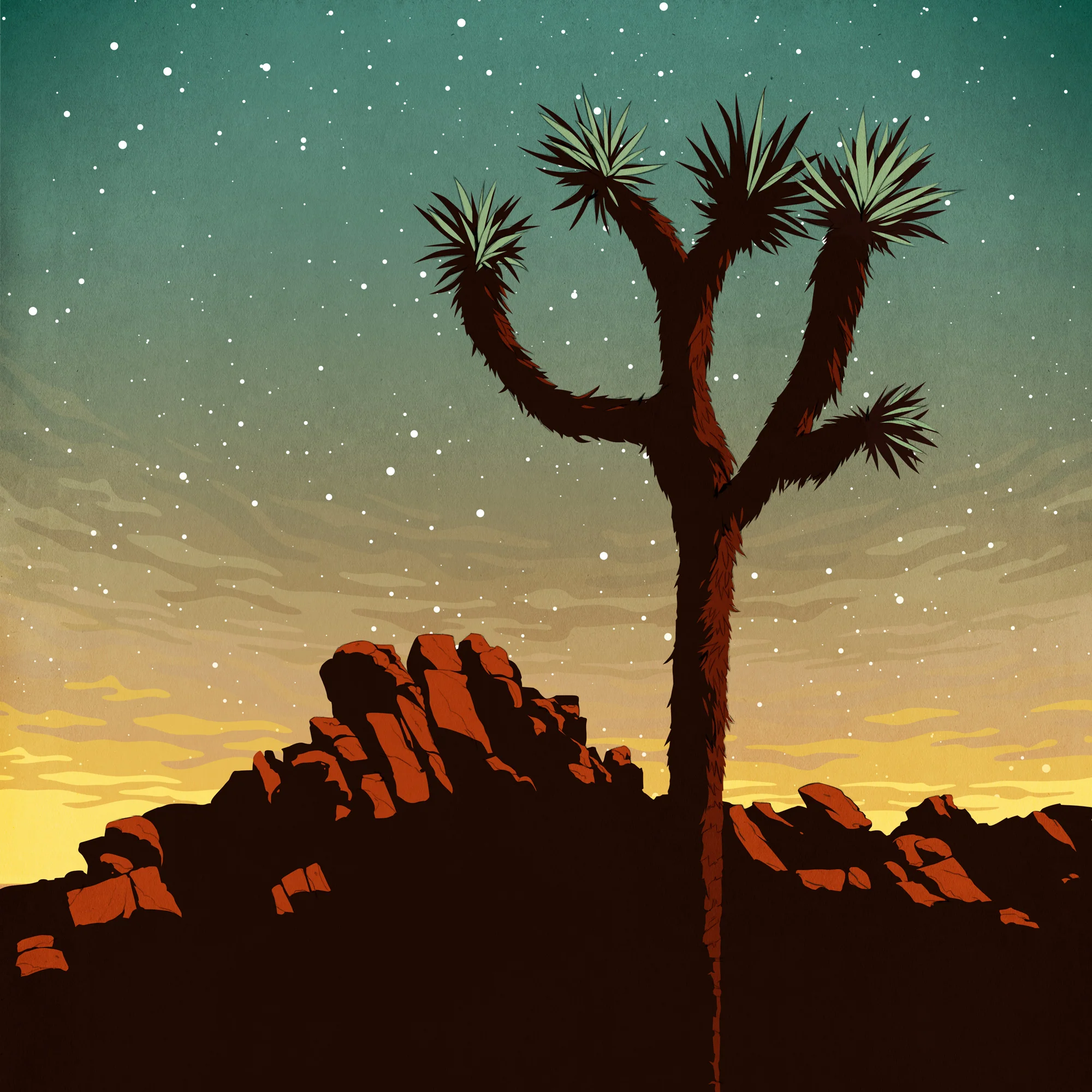 joshuaTree.jpg