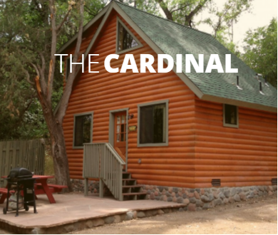 The Cardinal is approximately 500 square feet with 1 enclosed bedroom and 1 open loft bedroom. The downstairs bedroom has a queen bed, and the loft bedroom has a bunk bed and sleeping floor mats. There is a living area, dining counter, full kitchen, and full bath. The patio has a table and chairs for 6, a gas grill and a spot nearby for a campfire.