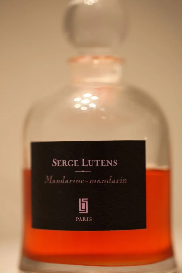 SergeL-620x930.jpg