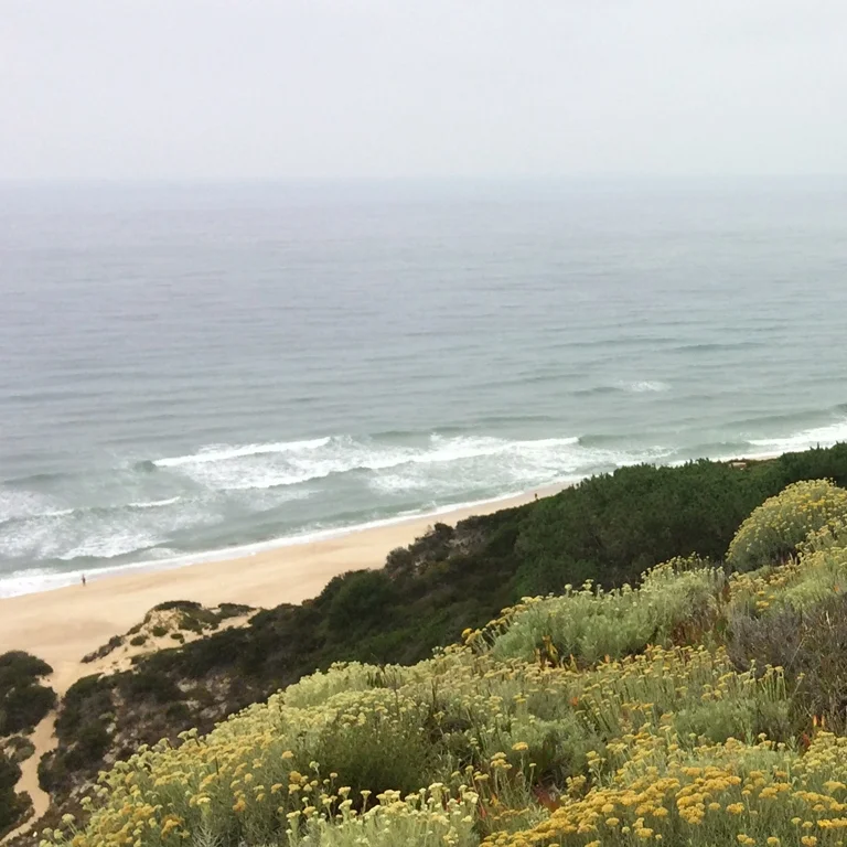 The beaches in the centre of Portugal