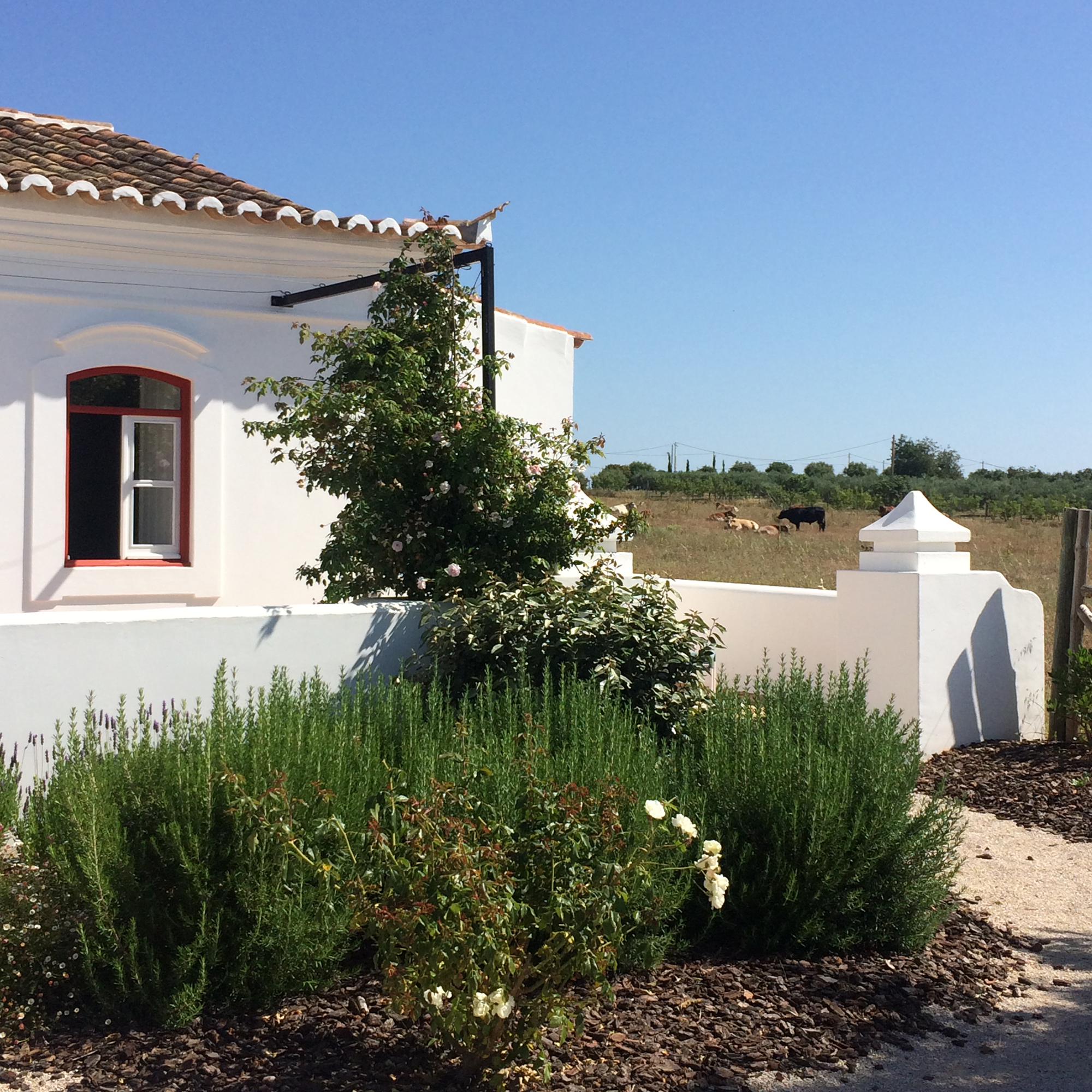 Whitewashed building in Algarve, Southern Portugal