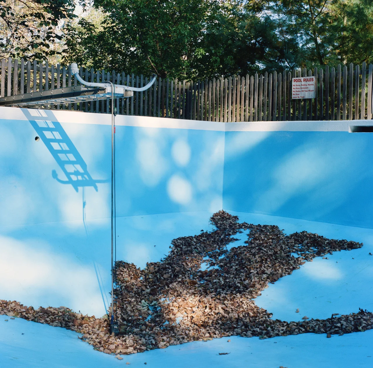 “The French called this time of day “l’heure bleue.” To the English it was “the gloaming.”
The very word “gloaming” reverberates, echoes—the gloaming, the glimmer, the glitter, the glisten, the glamour—carrying in its consonants the images of houses…