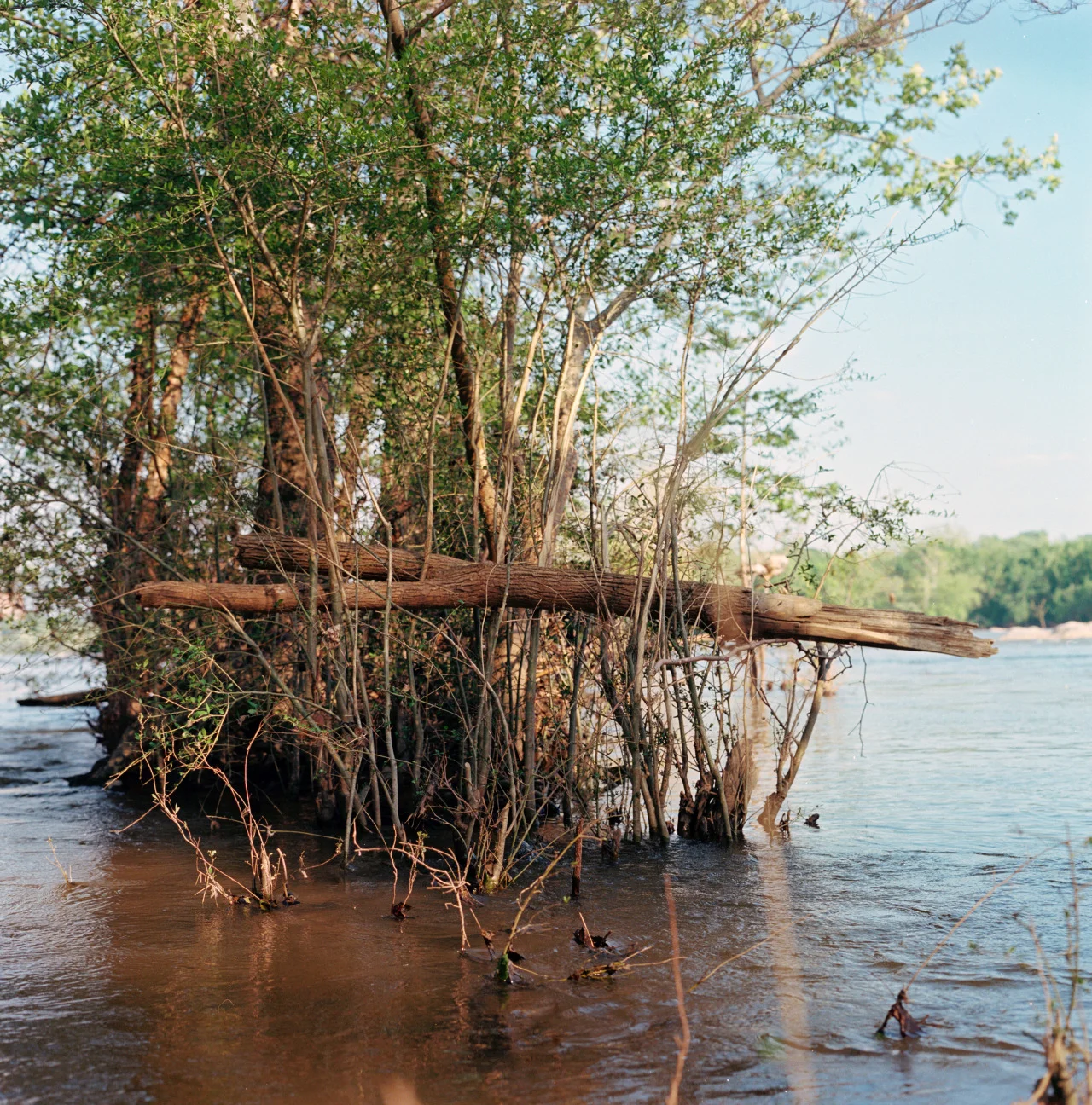 High water mark, James River.