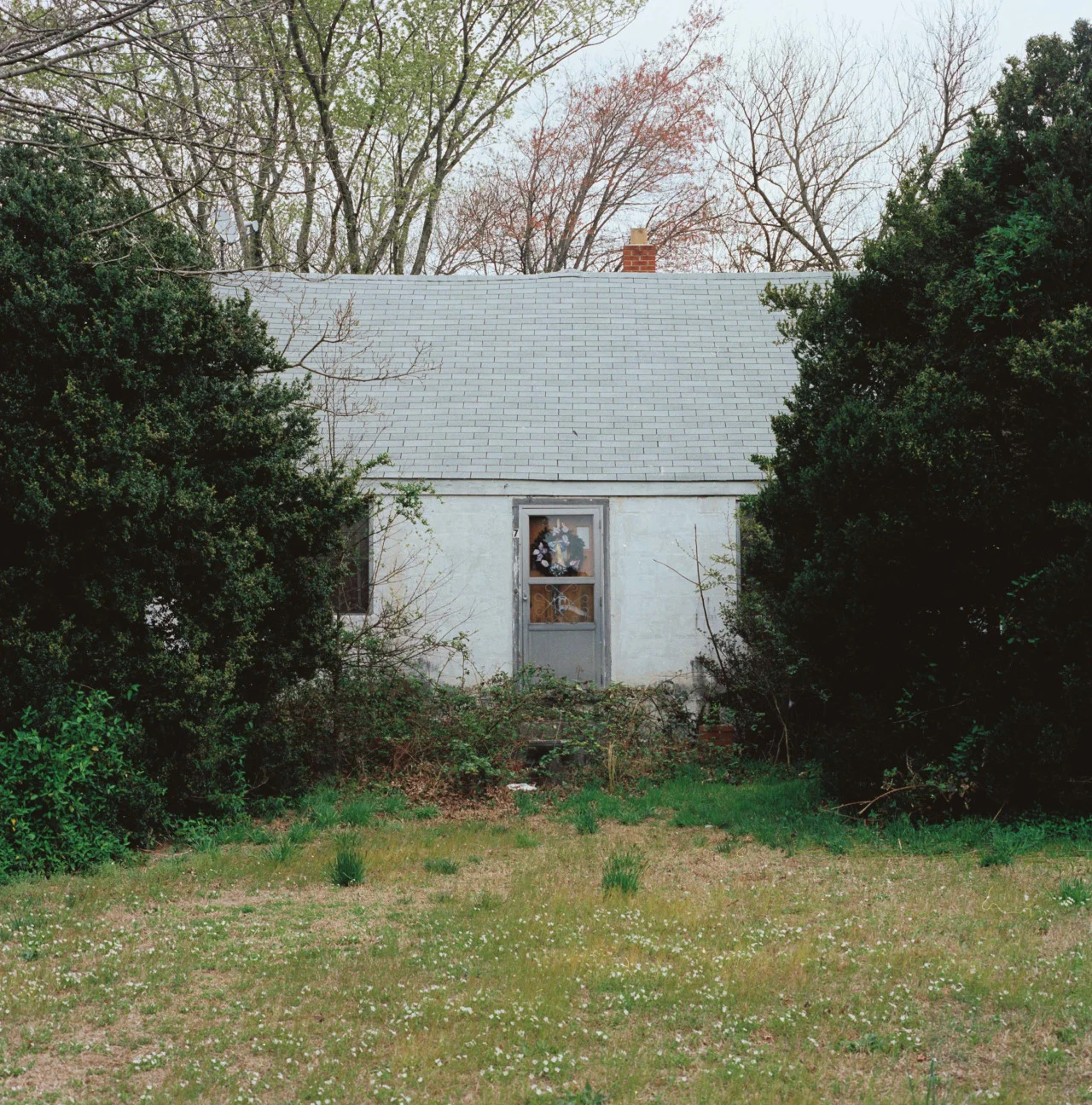 Sophie&rsquo;s House