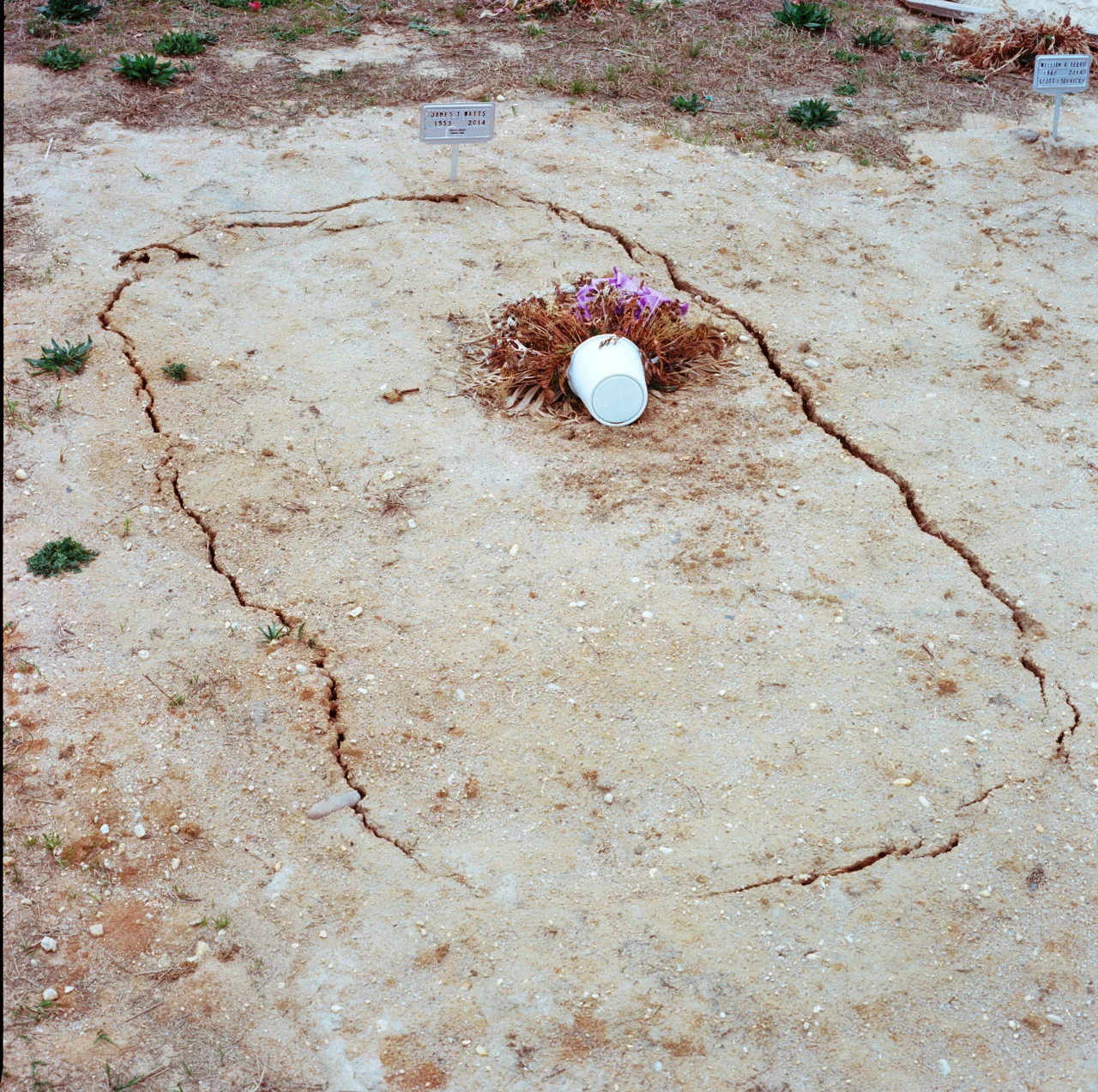 Evergreen, Henrico, VA – photo taken in collaboration with kateelizabethfowler