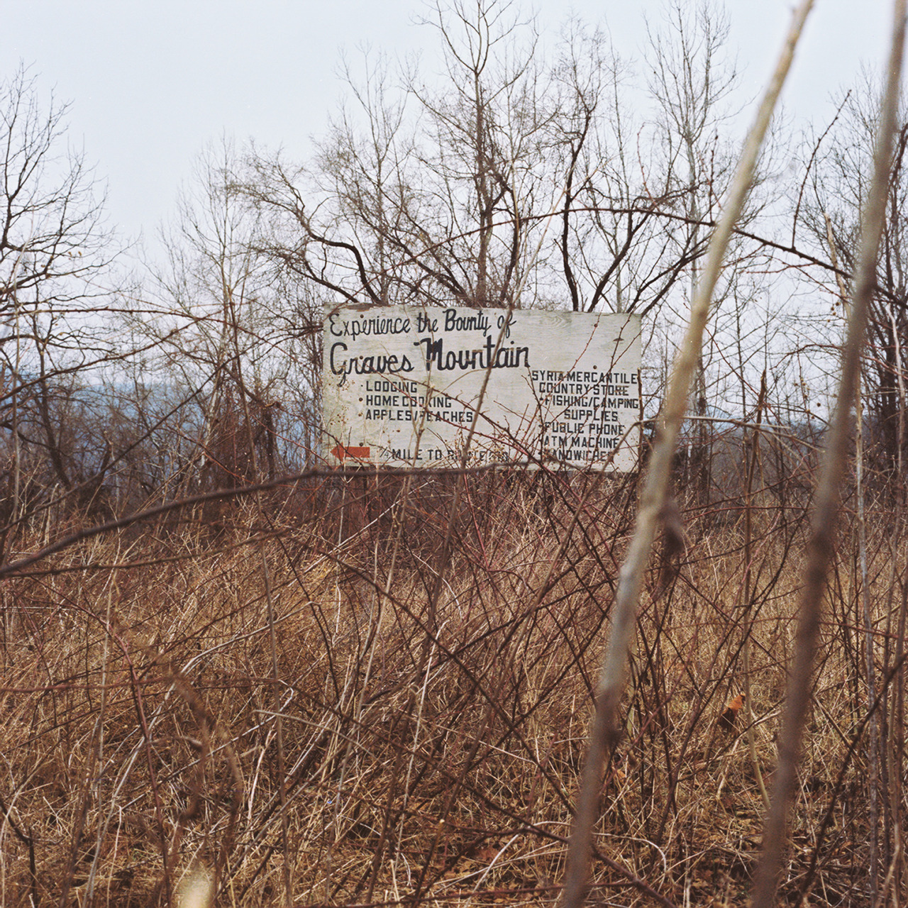 Experience the Bounty 