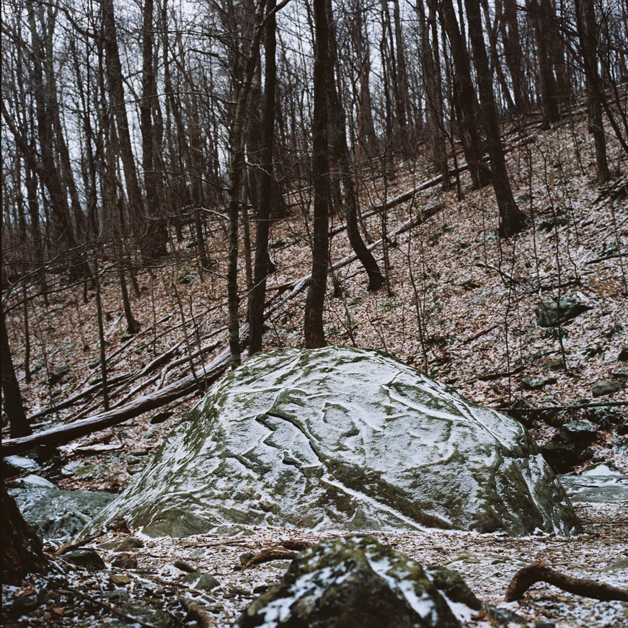 &ldquo;Enough to melt all the tigers in the world to butter.&rdquo;