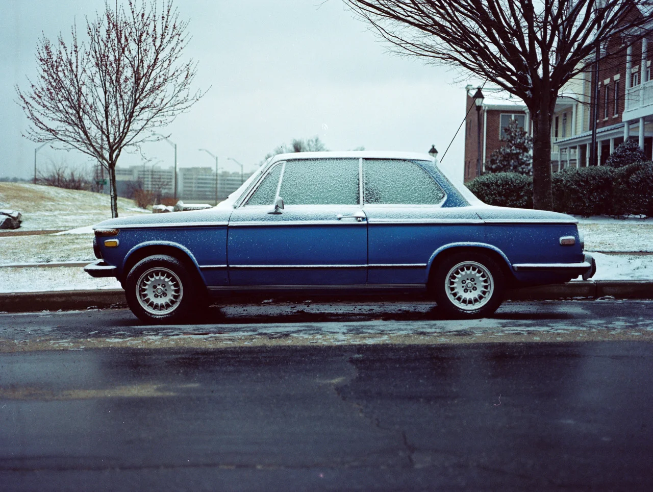 from the endless winter