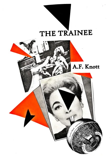 zzr_The Trainee Collage Cover 1.jpg
