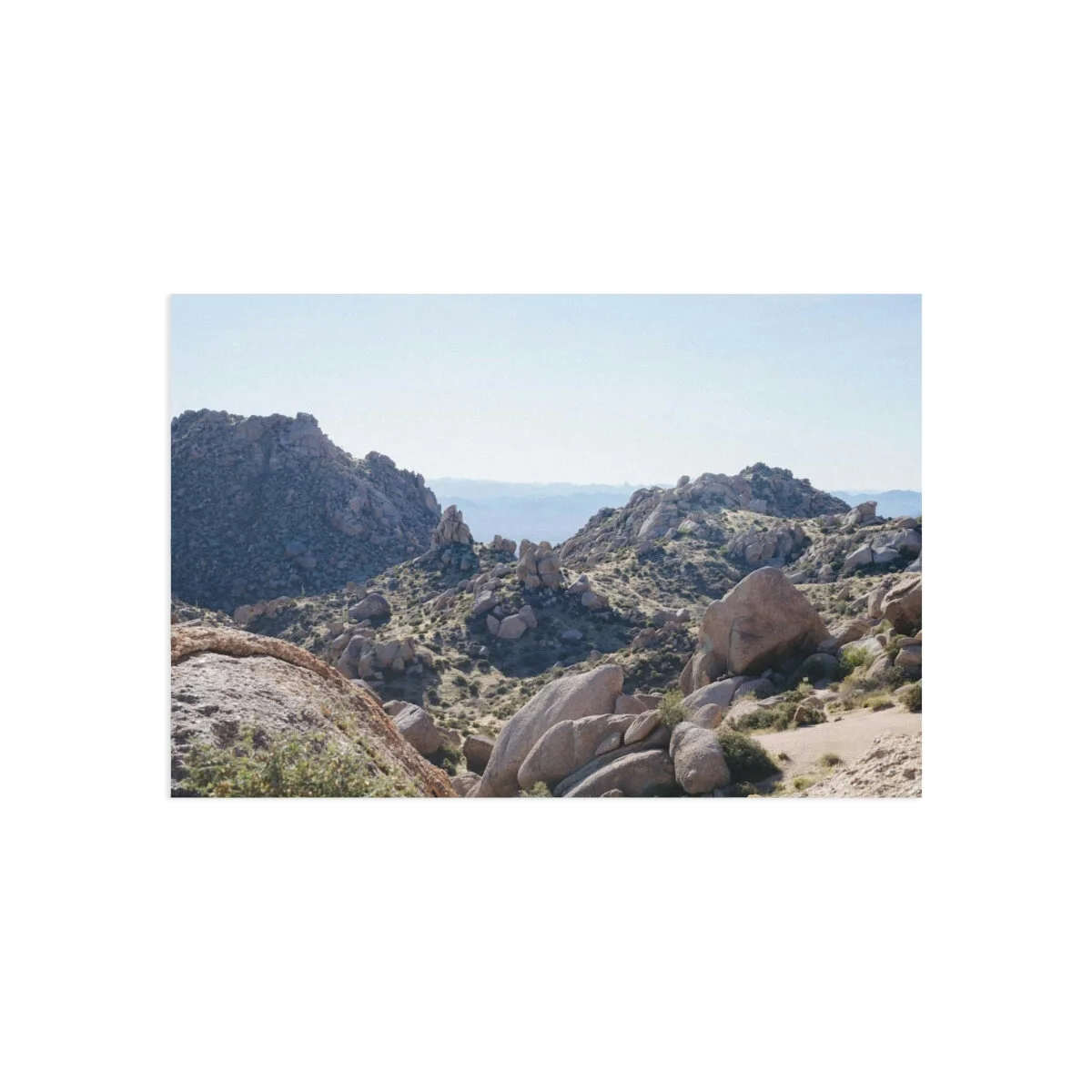 23afa6a12c544efce50d11fb0c3dc2c3