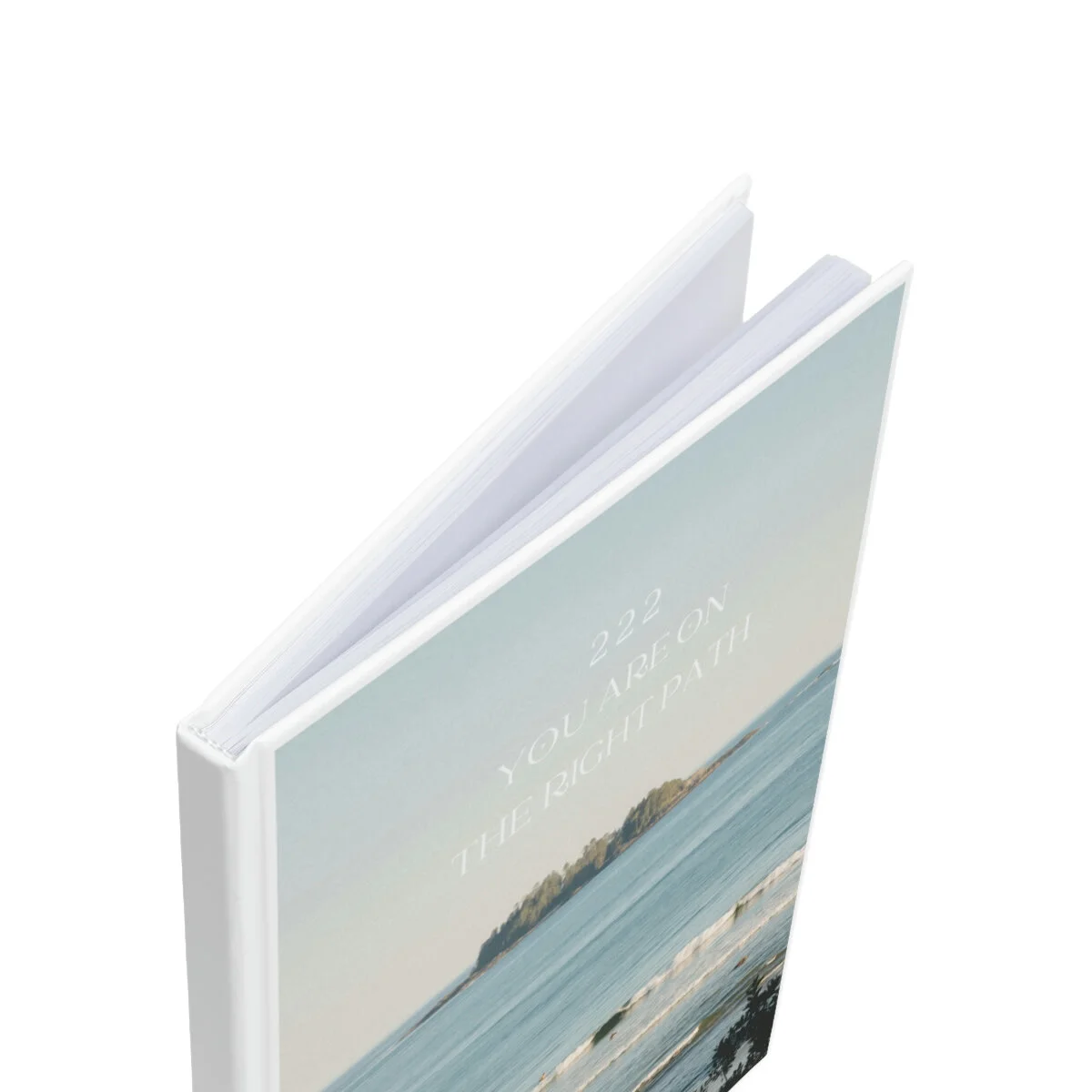 9d3133cb2492e3c8cfe161ef50e08795