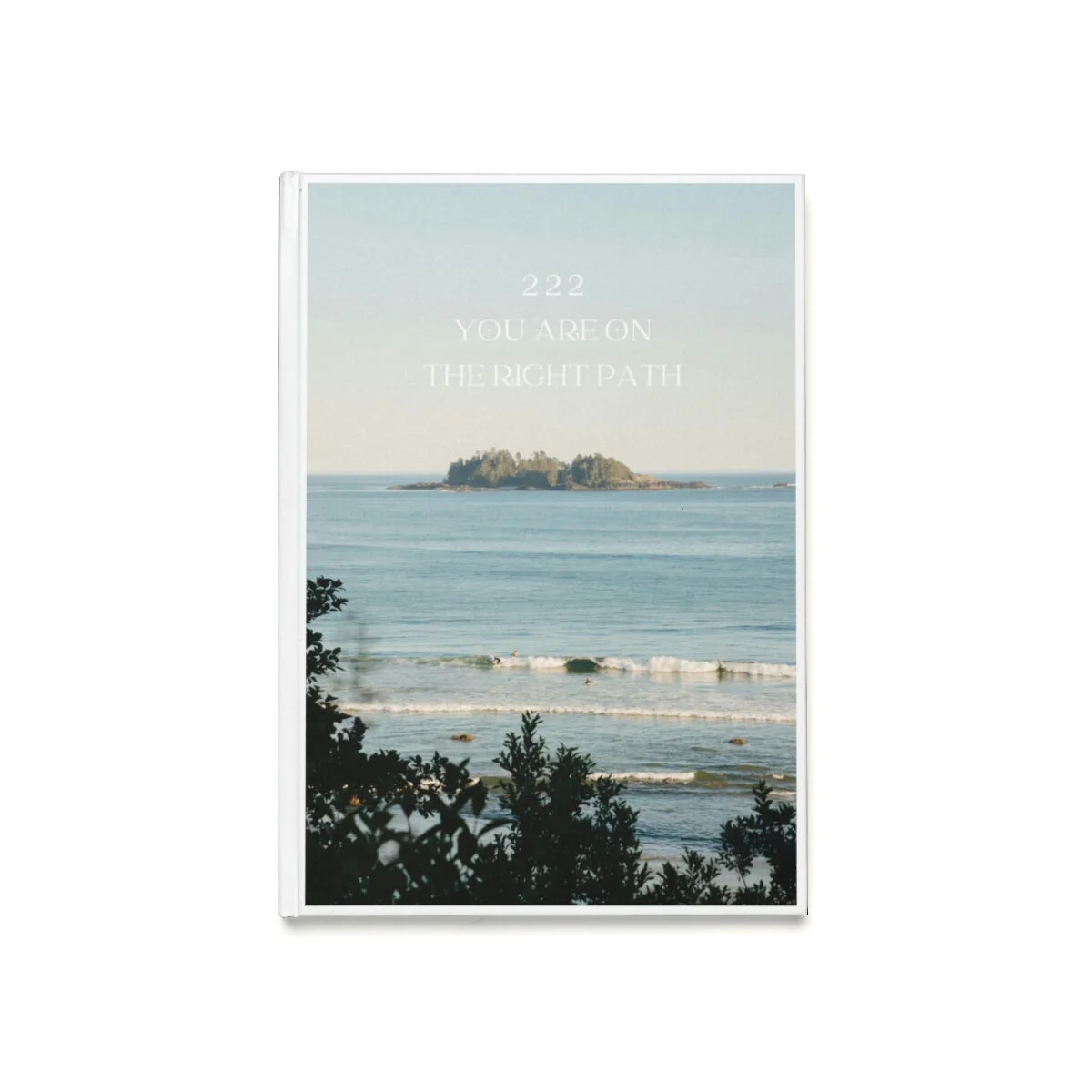 d8a0128d4958202c3cbeb8a20f6ab458