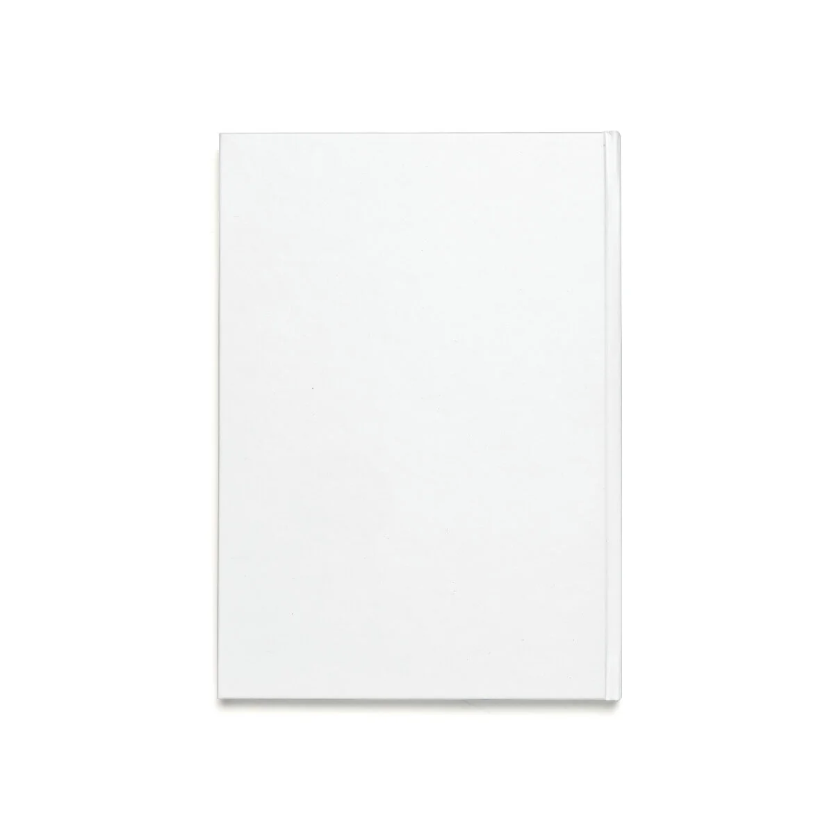 38f3d1ed1e3f3d79a3084ada00100843