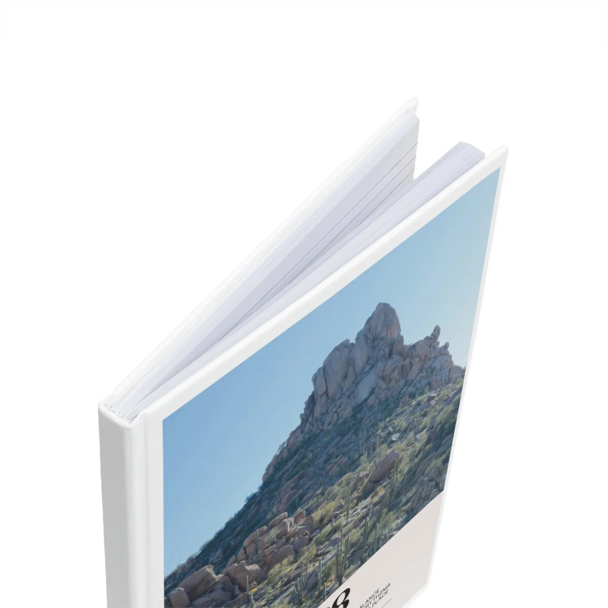 86f51d619a373a88a7426c6e499285ca