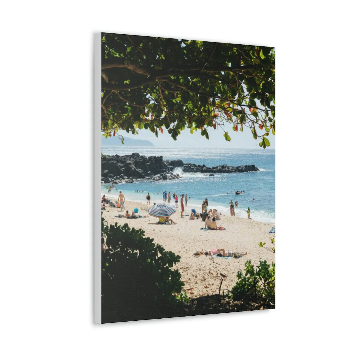 240de046486e941ace7cf491881d6094