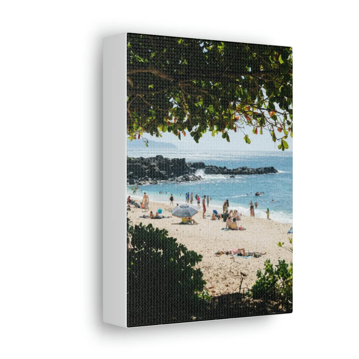 498e17053a759fc053eec0e30ba3cf86