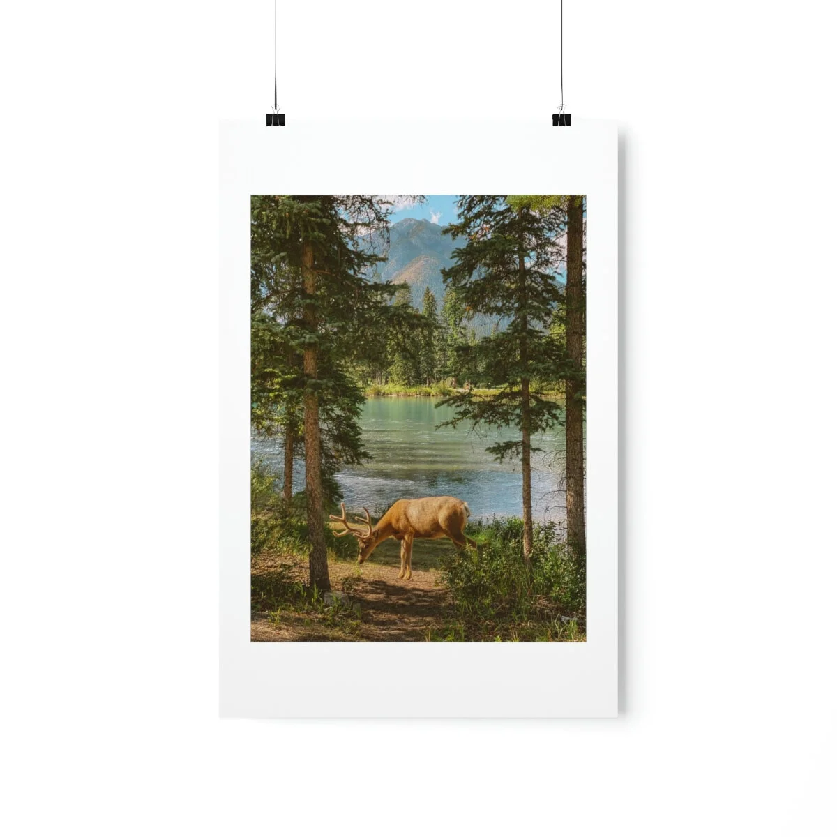 a8a29e3cac4786f8c83b0cc0ae48b337