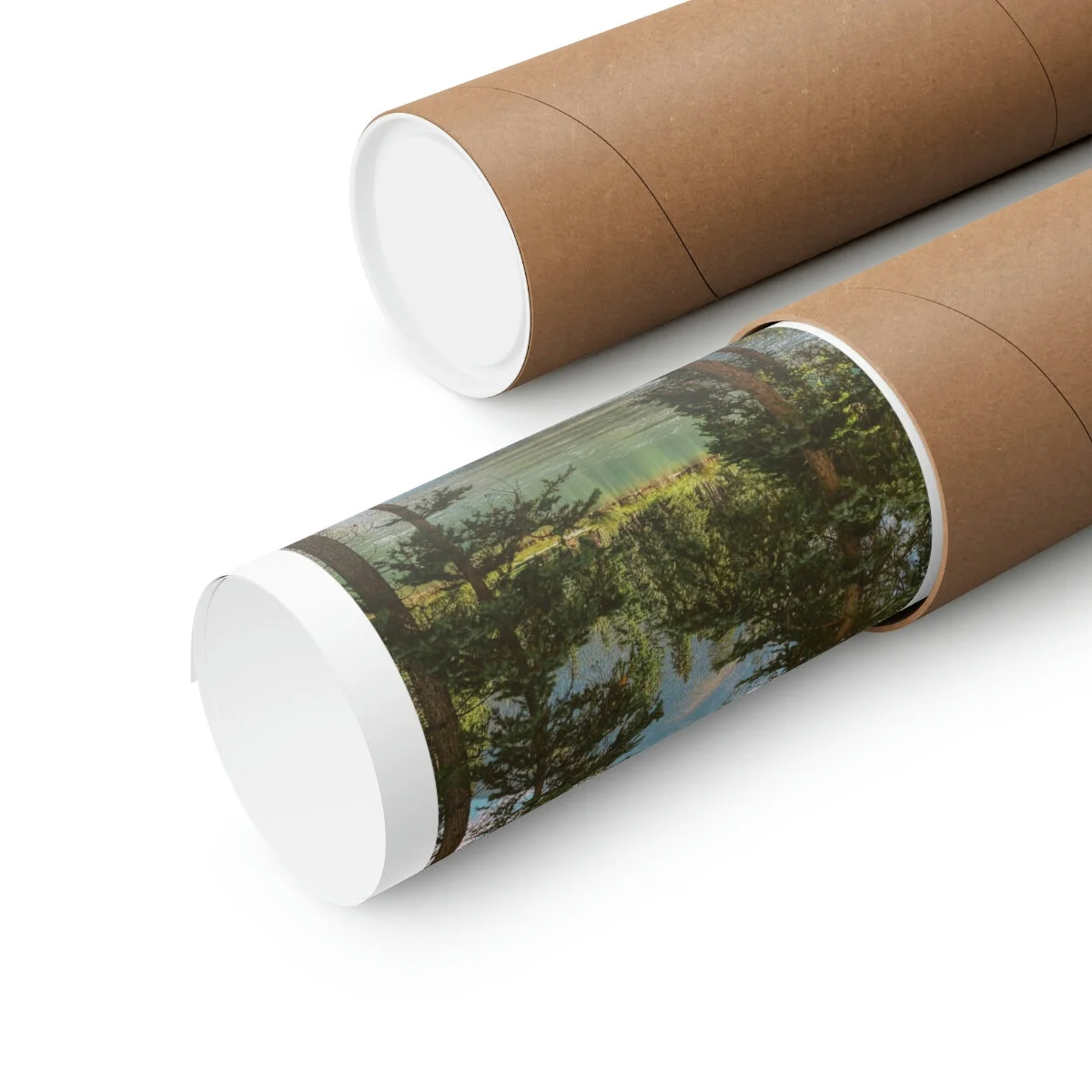 4408375875a62c987d71a084892cb186