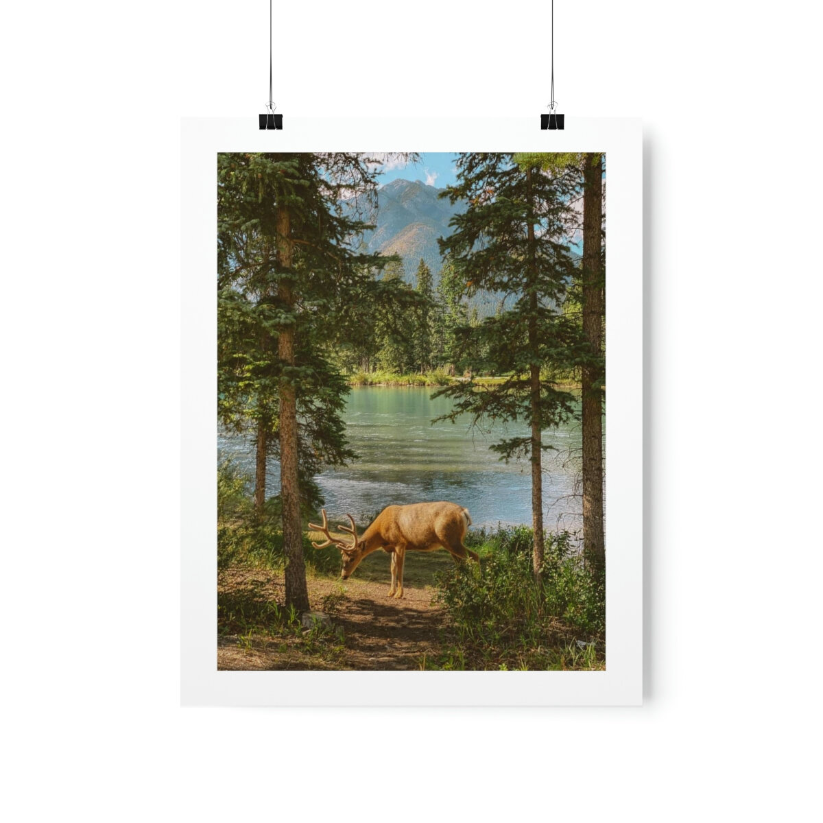 7df9f420ce8dd4d4965171103c73970c