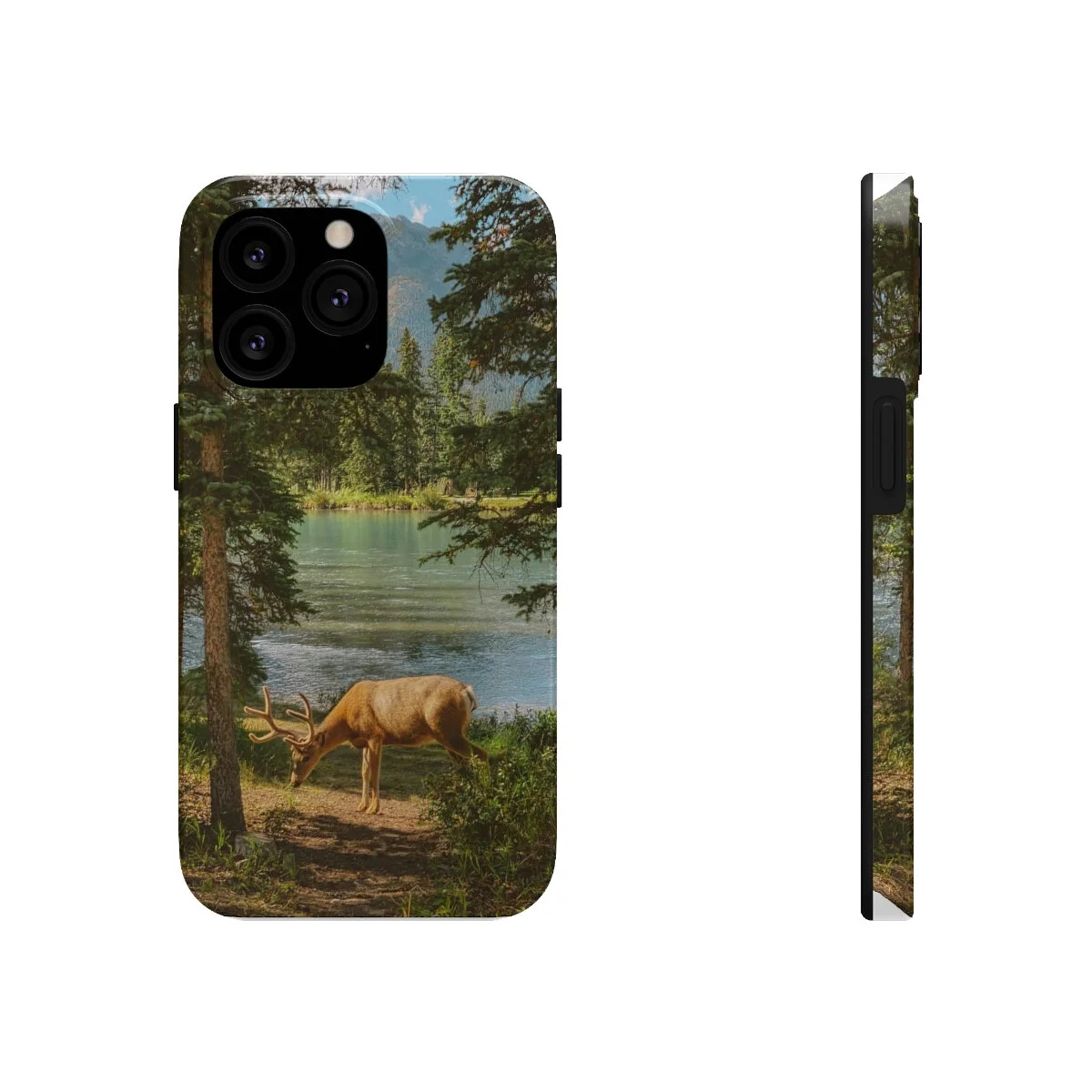 78dc14458bdcda6158ab04afa2f973a8