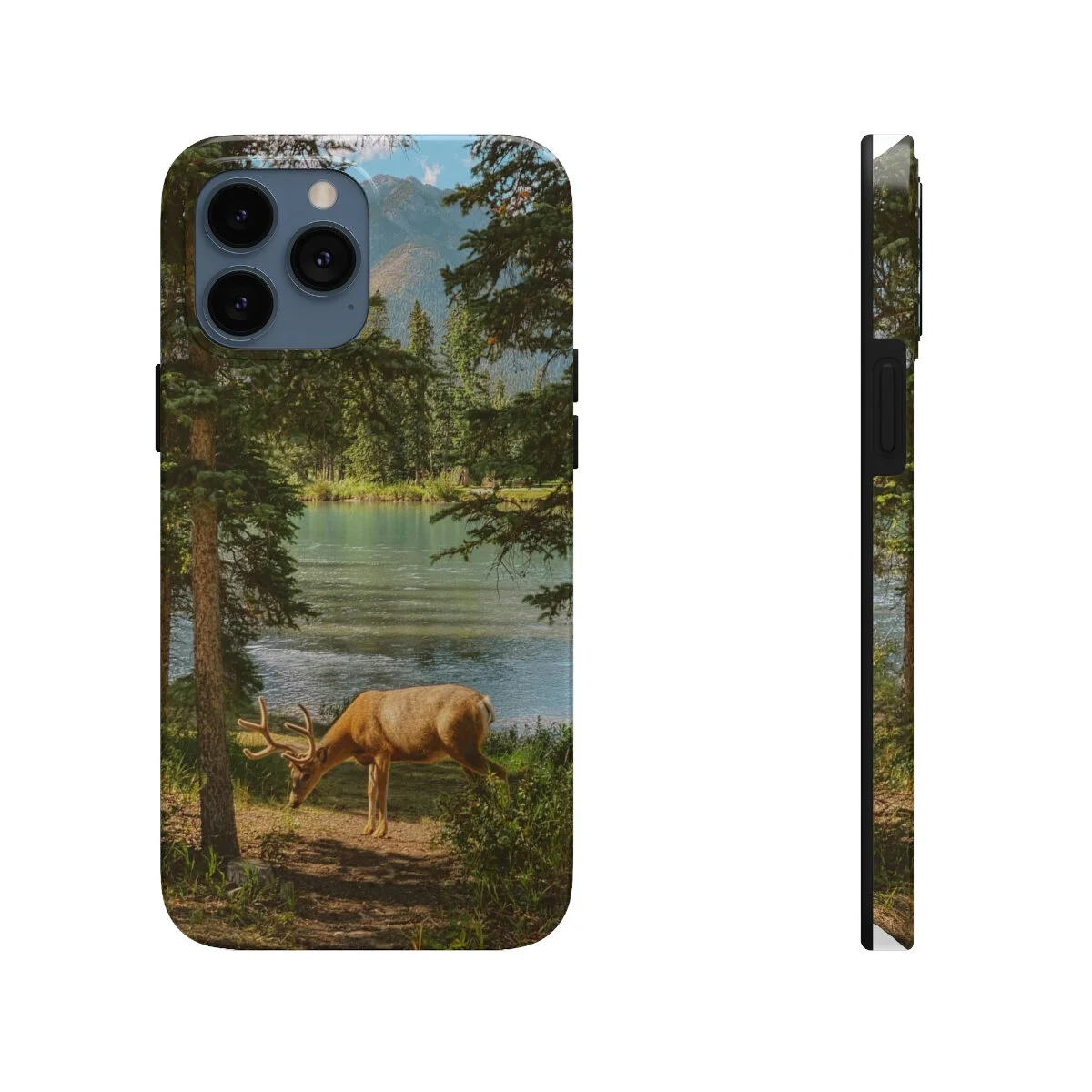 068bfaff8280da4fe67fc19310e60501