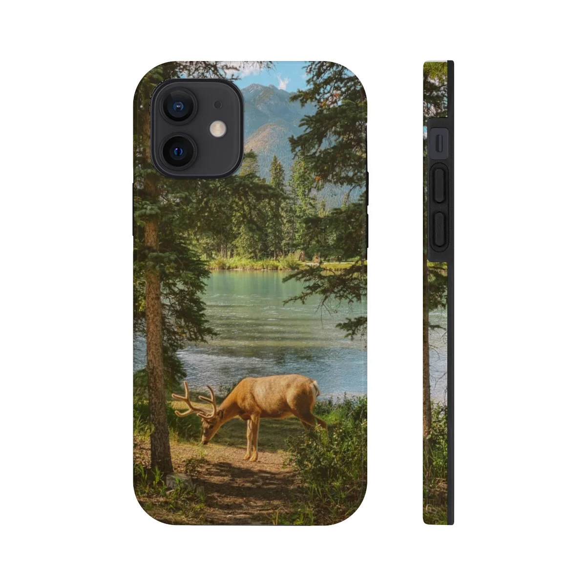 ddee95049c4a5715629f1b77ed3cfc00