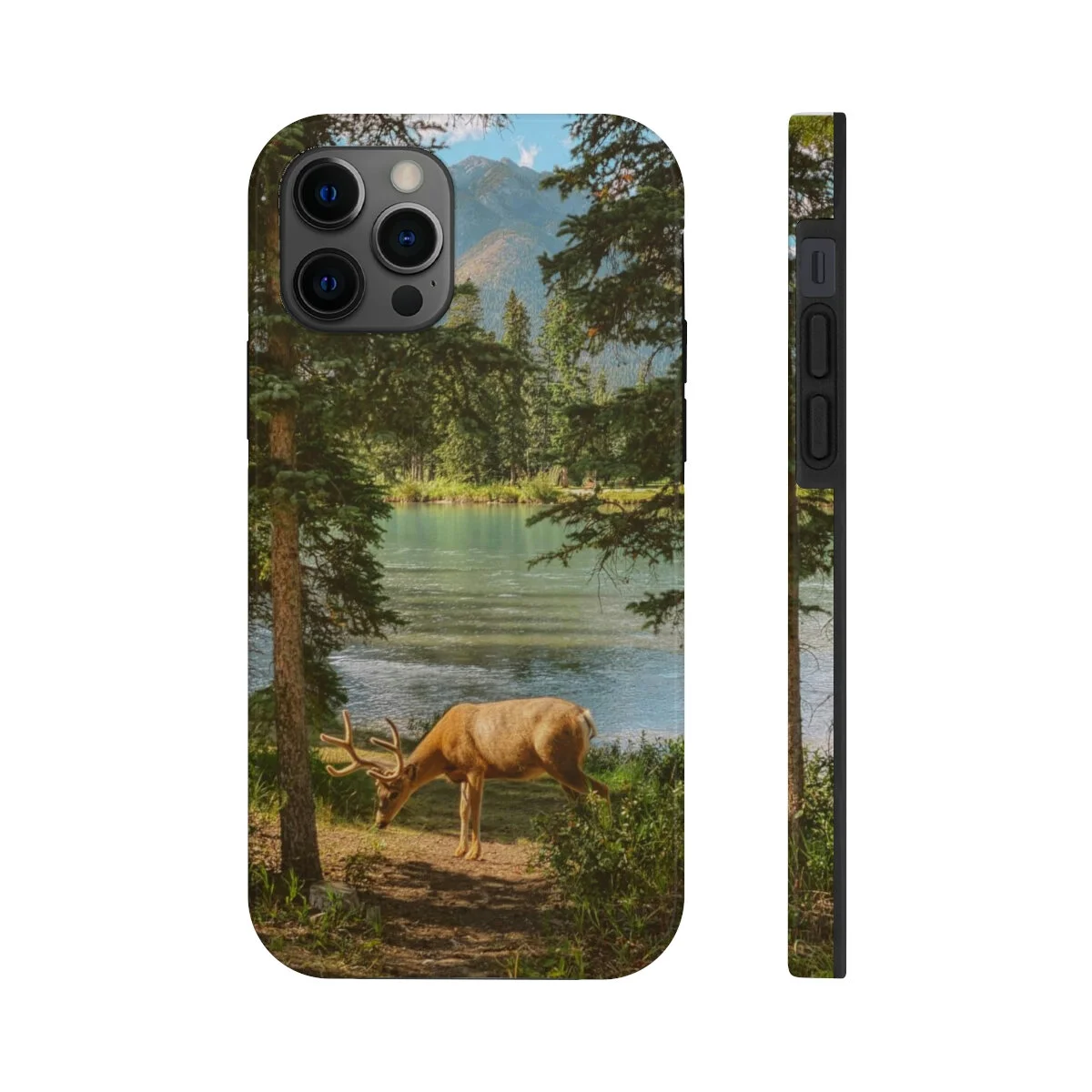 80d8b7ea8c50c26b58dcfd6ba416dc79