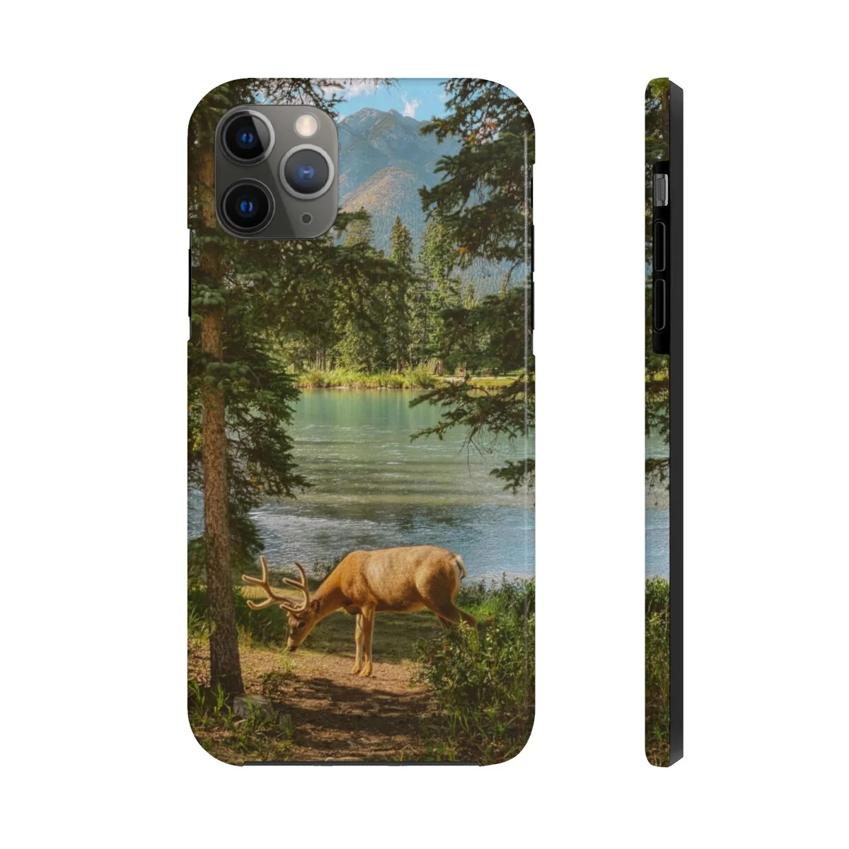 5f98c3c1c1af5c570cc47389d66c0fa6