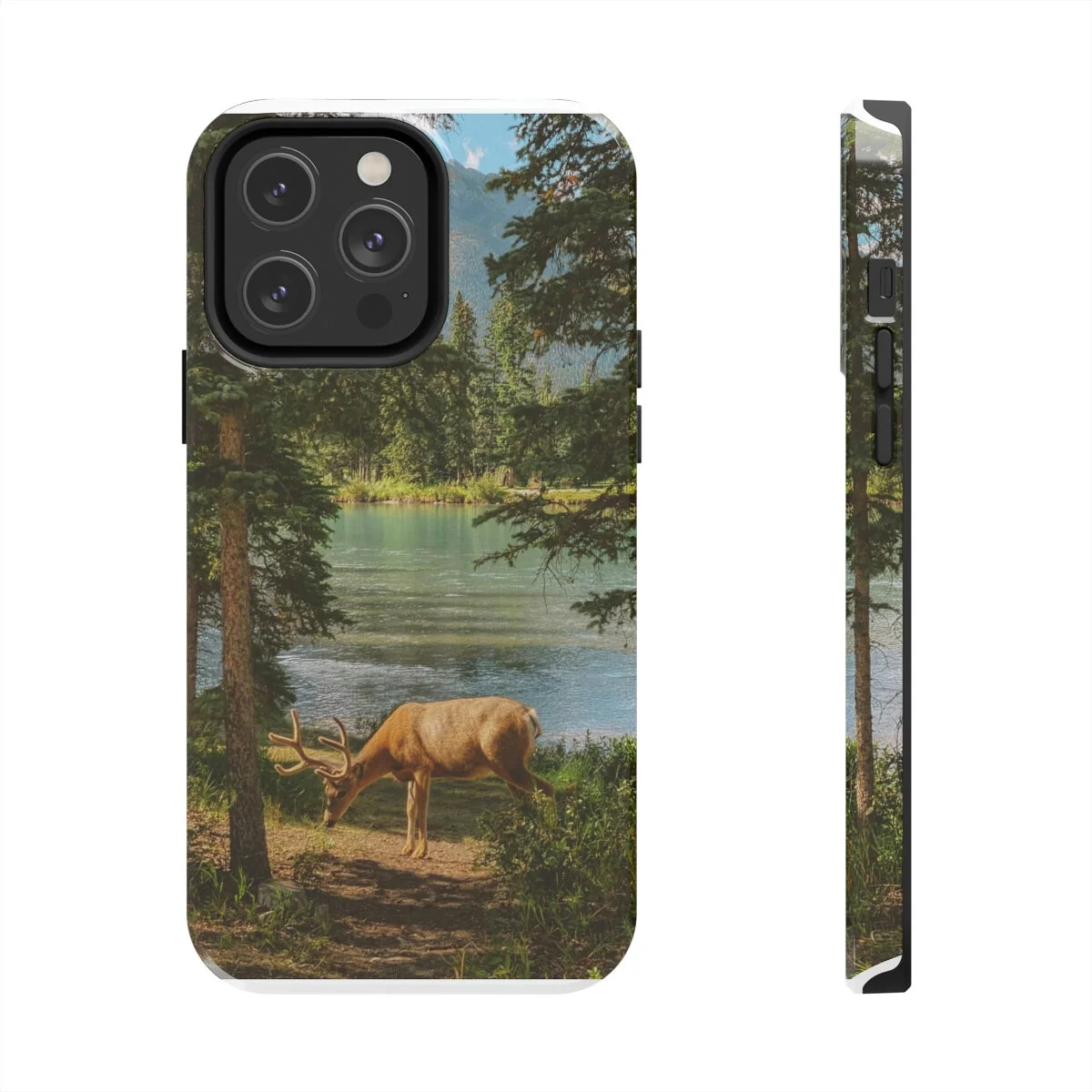 59f717012a45717c66315fb43ebd47dd