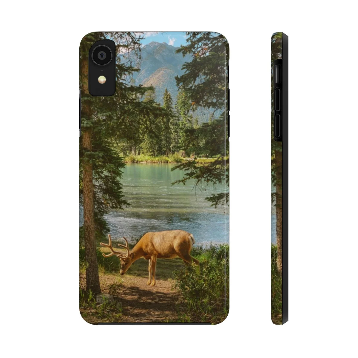 0be3b390ac949fccba8dedd553c1a4ef