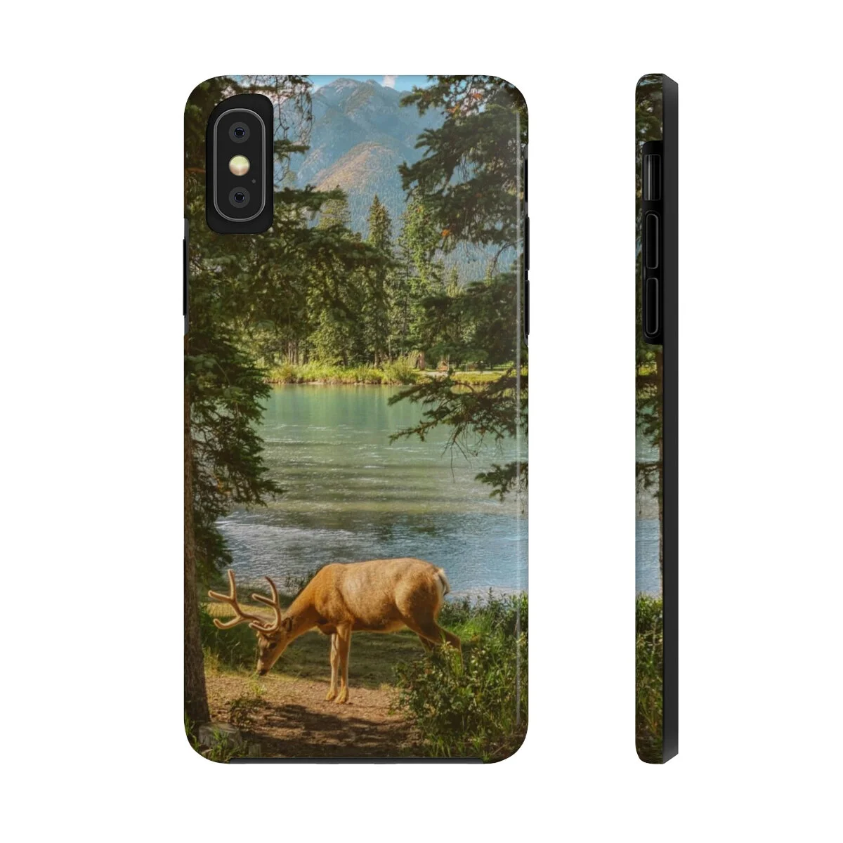 fcc779f4c42b818e56042c836a5ba2cf