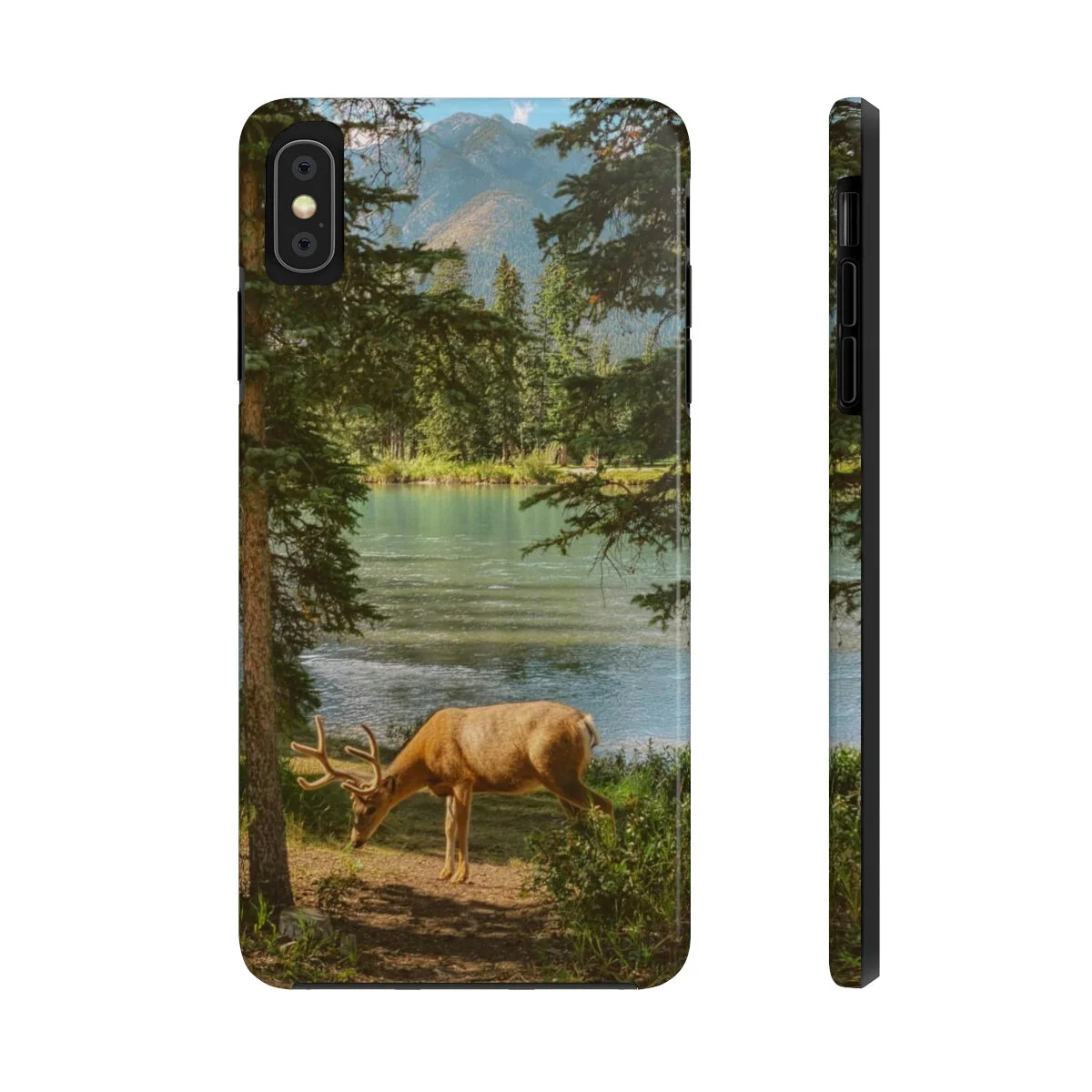 fce585c874ea60d5e3d57fda54ef75bd