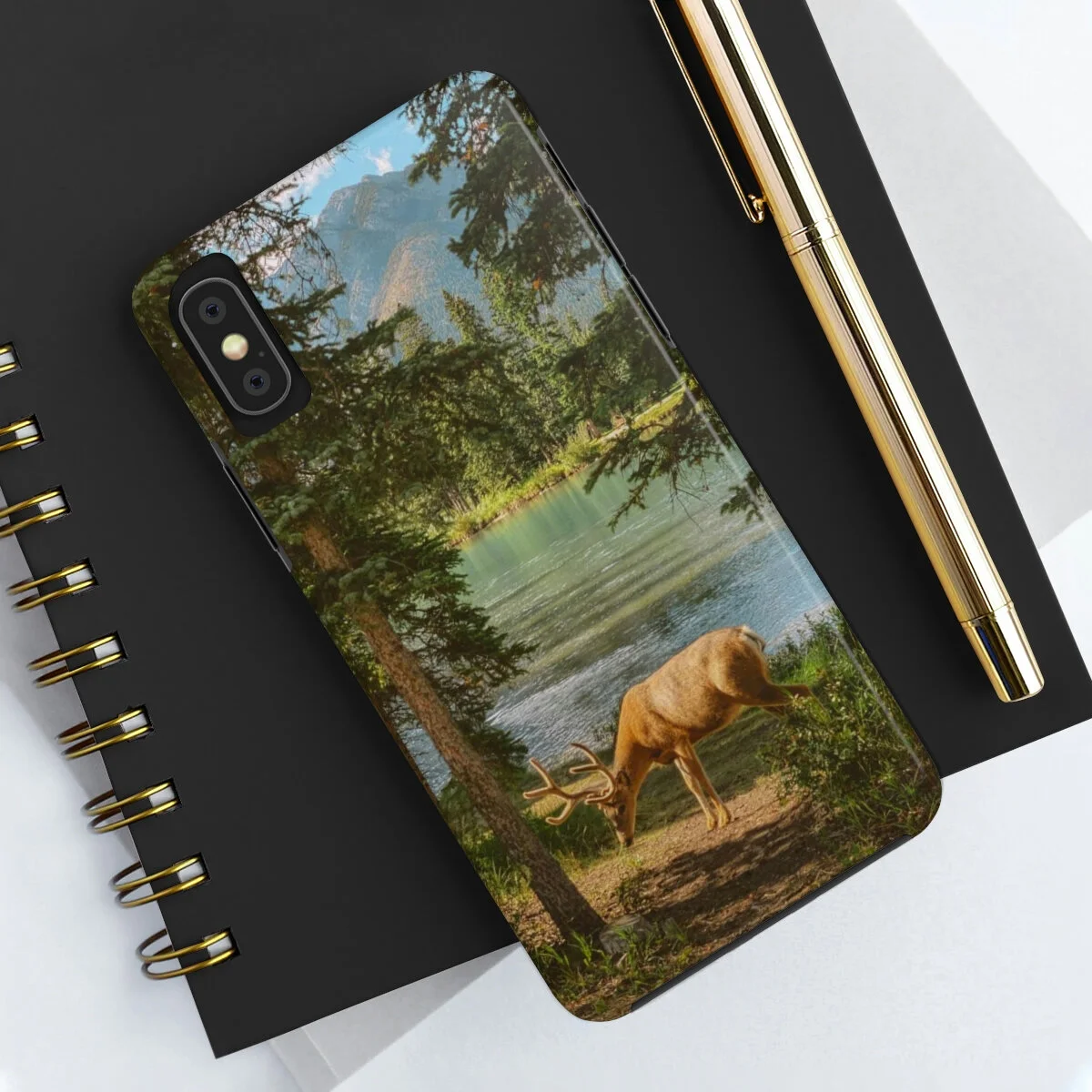 03a5e400db15786d52163d1b06117622