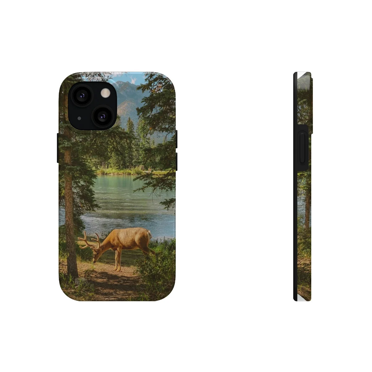 e8351b14fd79322beb5fc55275dc551f